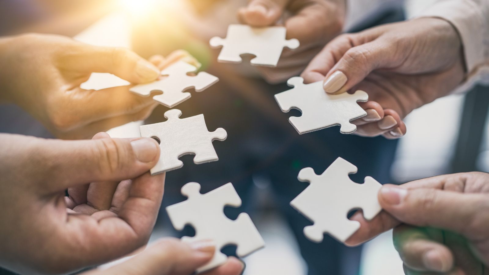 Changes to the 51% related companies