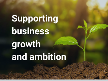 Business Accountancy 